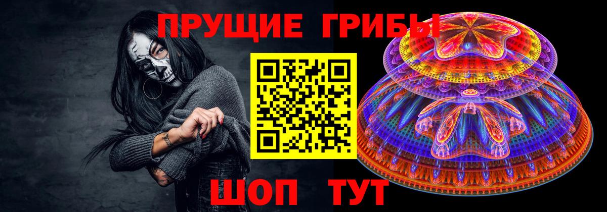 Сертолово  Галлюциногенные грибы Psilocybine cubensis  Вход с VPN 