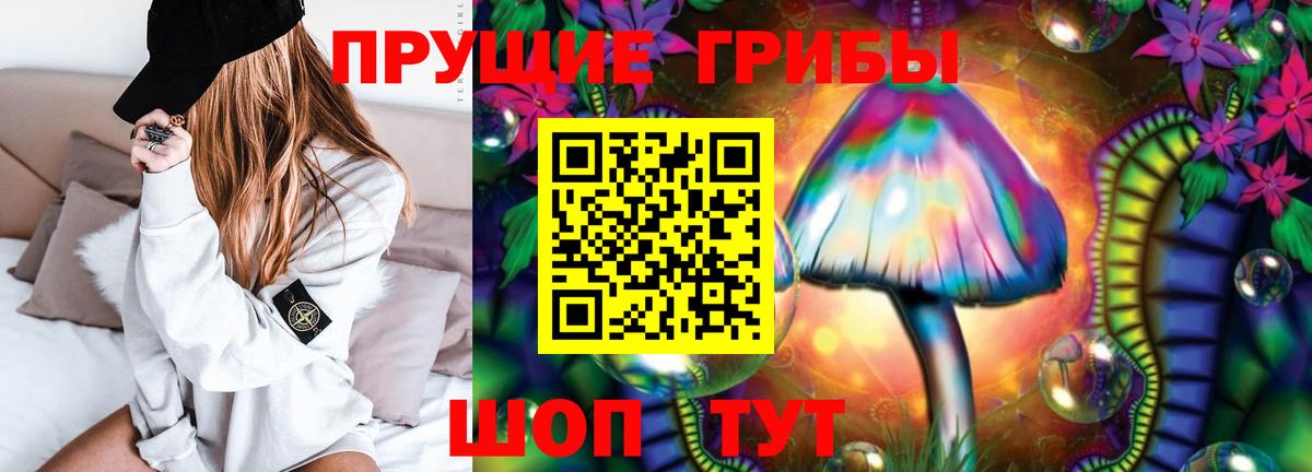 Псилоцибиновые грибы ЛСД Сертолово