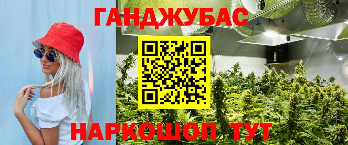 Каннабис конопля Сертолово